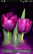 Purple Sparkle Tulips LWP screenshot 1