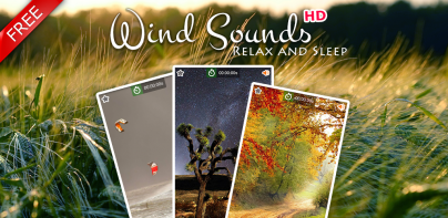 Wind Noise: Relax and Sleep