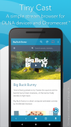 Tiny Cast Browser - Cast to Chromecast / DLNA screenshot 0