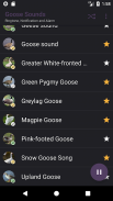 Appp.io - Goose Sounds screenshot 2