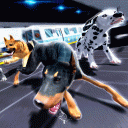 Police Dog Criminal Hunt 3D Icon