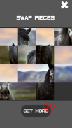 Horse Slide Puzzle screenshot 5