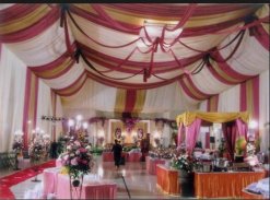 Reception Tent Design Ideas screenshot 1