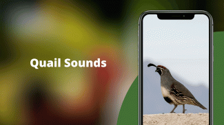 Quail Sounds & Calls screenshot 2