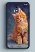 Kitten Wallpaper screenshot 2