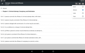 Georgia Crimes & Offenses Code screenshot 11