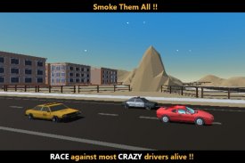 Pro Racer screenshot 1