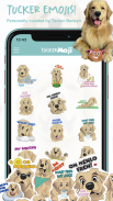 TuckerMoji - Golden Dog Stickers by Tucker Budzyn screenshot 1