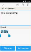 Indonesia traductor chino screenshot 2