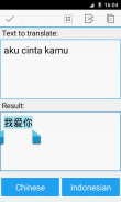 Indonesian Chinese Translator screenshot 2