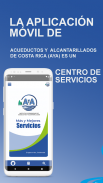 Servicios  AyA screenshot 5