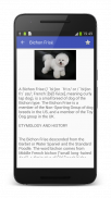 Dog Breeds Encyclopedia screenshot 1