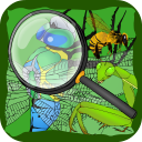 Hidden Insects Icon