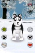 Talking Siberian Husky screenshot 2