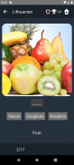 Lithuanian Language Tests screenshot 9
