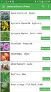 Herbs Encyclopedia screenshot 3