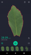 Leafscan screenshot 2