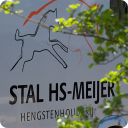 HS-Meijer Icon