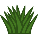 Perennial herbs Icon