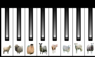 SHEEP CAT BIRD PIANO screenshot 2