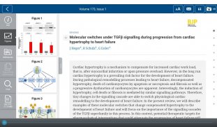 British Jnl of Pharmacology screenshot 8