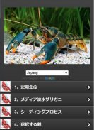 freshwater lobster cultivation screenshot 0