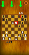 Chess Offline Two Players screenshot 0