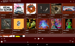 SELENIUM Music Player screenshot 6