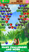 Bubble Fruits screenshot 5