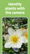 Flora Incognita - identificação de plantas screenshot 13