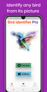 Bird Identifier Pro - Photo Bird Identification screenshot 1