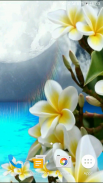 Video Wallpapers: Paradise Islands screenshot 1