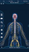 Nervous System Anatomy Pro. screenshot 2