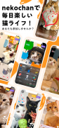 nekochan - 猫だけのライブ配信アプリ screenshot 4