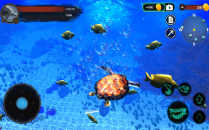 The Turtle screenshot 15