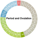 Period and Ovulation Icon