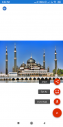 Famous Mosque Wallpapers: Free Pics download screenshot 5