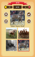 Horse Quiz screenshot 9