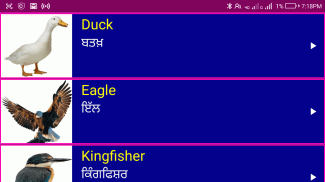 Learn English From Punjabi screenshot 0