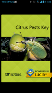 Citrus Pests Key screenshot 0
