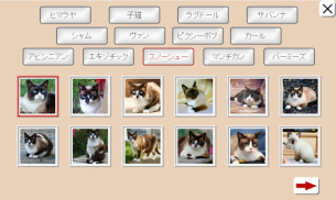 タイルパズル：猫を推測 screenshot 5