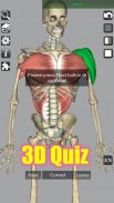 3D Bones and Organs (Anatomy) screenshot 4