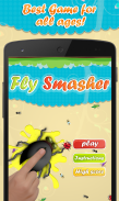 Fly Smasher screenshot 1