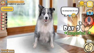 Fruwee Pets Real Dog Simulator screenshot 19