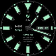 Diver Classic LE  Wear OS4 screenshot 12