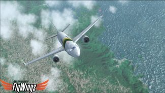Weather Flight Sim Viewer screenshot 11