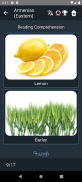 Armenian Language Tests screenshot 22