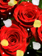 Rose, live wallpaper screenshot 4