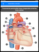 Anatomy Atlas for Students - Lite Version screenshot 2