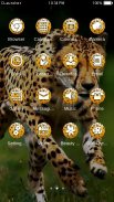 Wild Cheetah  Animal Theme HD screenshot 1